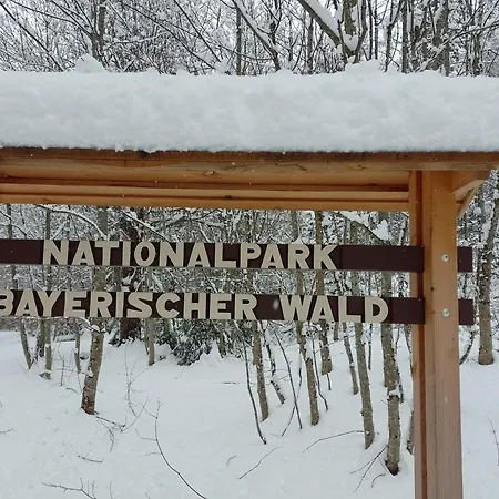 Hüttenzauber Mitten Im Nationalpark Lindberg