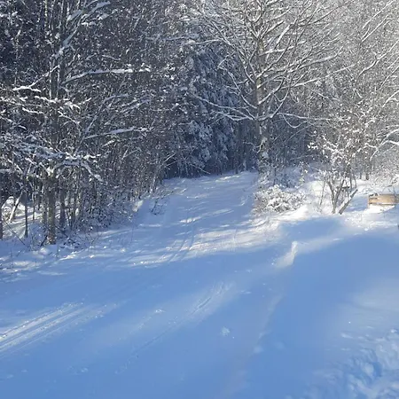Apartament Huettenzauber Mitten Im Nationalpark Lindberg